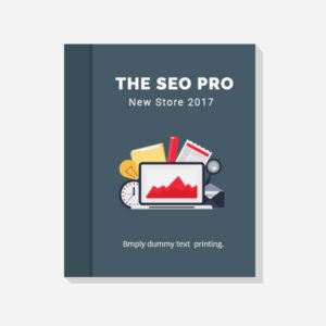 SEO Book 10